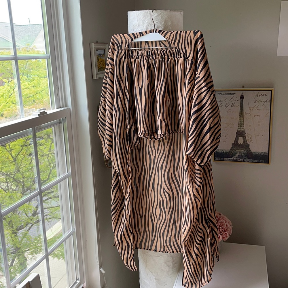 Nasty Gal Zebra Cover Up Set